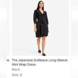 Everlane Japanese go-weave long sleeve mini wrap dress